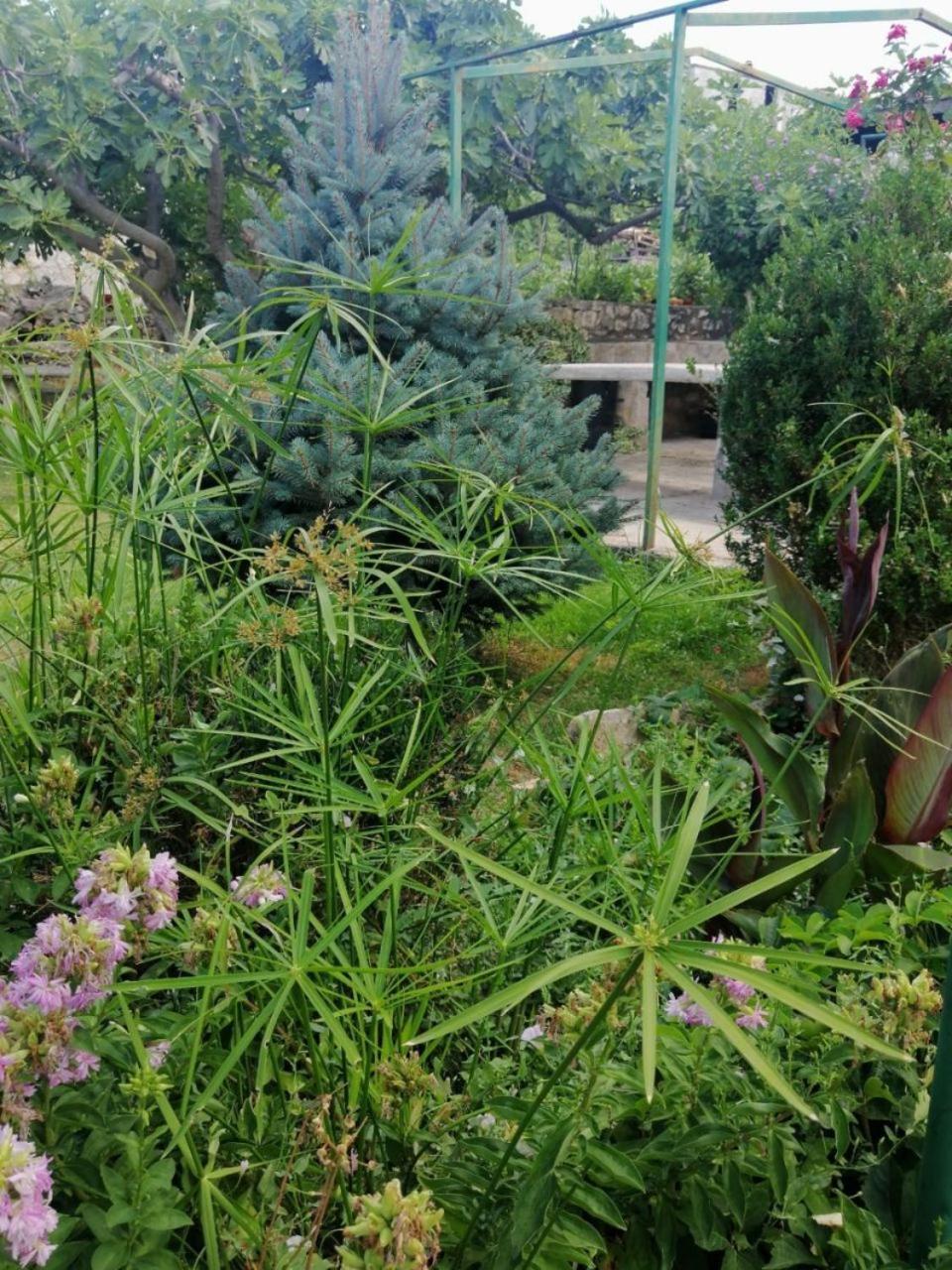 Apartment Anka Marina Εξωτερικό φωτογραφία